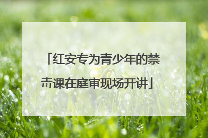 红安专为青少年的禁毒课在庭审现场开讲