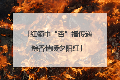 红领巾“杏”福传递 粽香情暖夕阳红