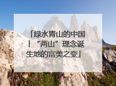 绿水青山的中国丨“两山”理念诞生地的富美之变