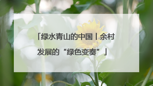 绿水青山的中国丨余村发展的“绿色变奏”