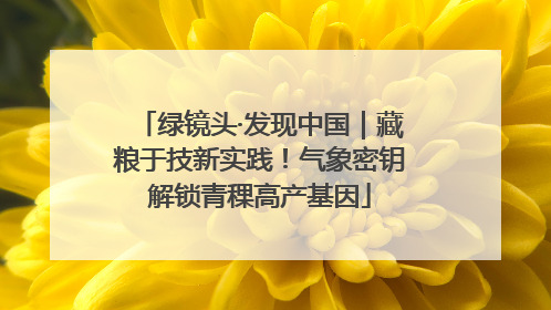 绿镜头·发现中国｜藏粮于技新实践！气象密钥解锁青稞高产基因