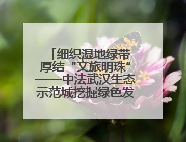 细织湿地绿带 厚结“文旅明珠”——中法武汉生态示范城挖掘绿色发展新动能