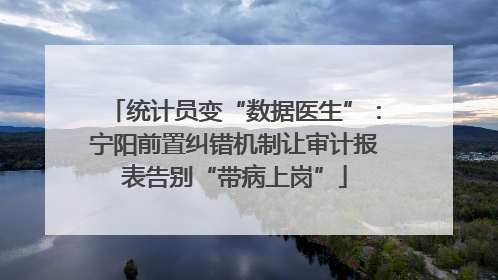 统计员变“数据医生”：宁阳前置纠错机制让审计报表告别“带病上岗”