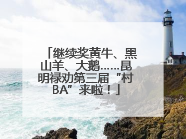 继续奖黄牛、黑山羊、大鹅……昆明禄劝第三届“村BA”来啦！