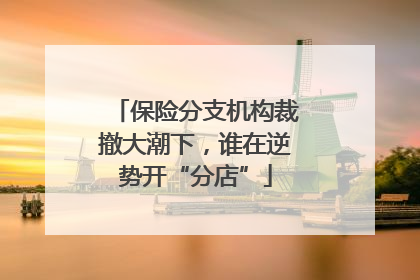 保险分支机构裁撤大潮下，谁在逆势开“分店”