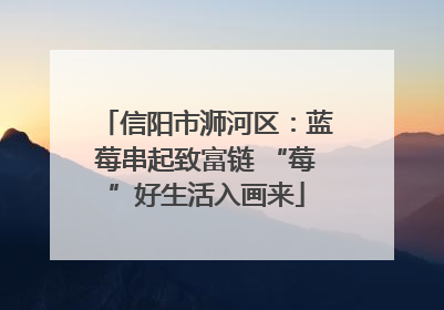 信阳市浉河区：蓝莓串起致富链 “莓”好生活入画来