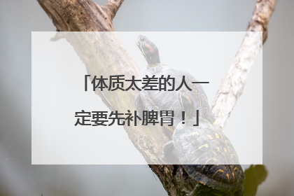 体质太差的人一定要先补脾胃！