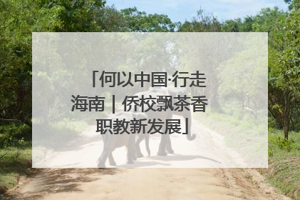 何以中国·行走海南｜侨校飘茶香 职教新发展
