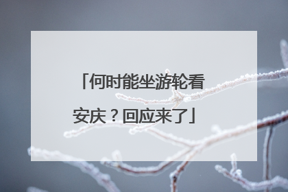 何时能坐游轮看安庆？回应来了