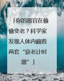 你的器官在偷偷变老？科学家发现人体内藏着两套“衰老计时器”