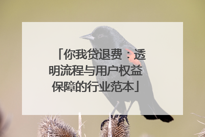 你我贷退费：透明流程与用户权益保障的行业范本