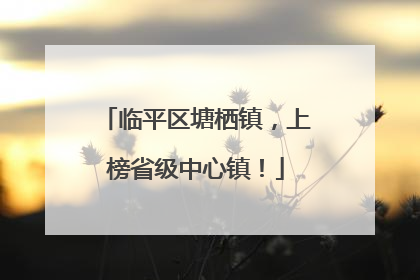 临平区塘栖镇，上榜省级中心镇！