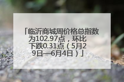 临沂商城周价格总指数为102.97点，环比下跌0.31点（5月29日—6月4日）