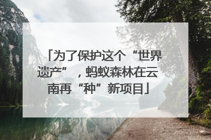 为了保护这个“世界遗产”，蚂蚁森林在云南再“种”新项目