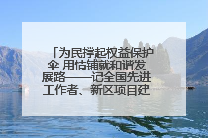 为民撑起权益保护伞 用情铺就和谐发展路——记全国先进工作者、新区项目建设中心干部卢小勇