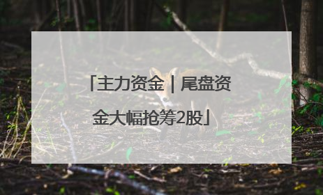主力资金｜尾盘资金大幅抢筹2股