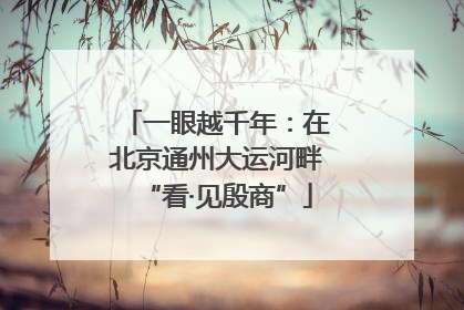 一眼越千年：在北京通州大运河畔“看·见殷商”
