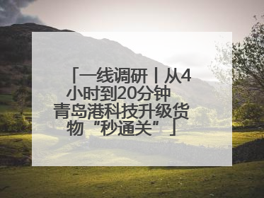 一线调研丨从4小时到20分钟 青岛港科技升级货物“秒通关”