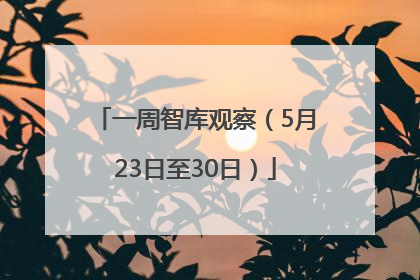 一周智库观察（5月23日至30日）