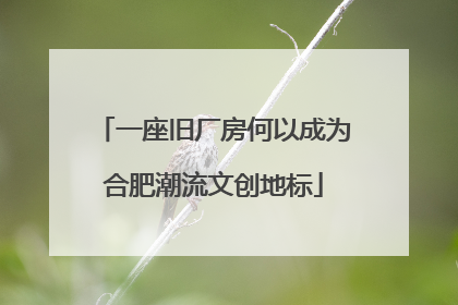 一座旧厂房何以成为合肥潮流文创地标