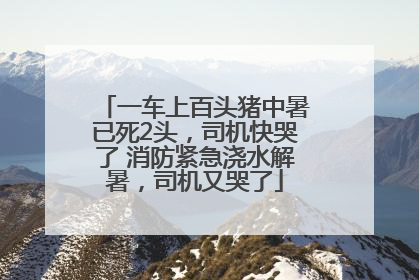 一车上百头猪中暑已死2头，司机快哭了 消防紧急浇水解暑，司机又哭了