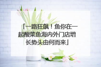 一路狂飙！鱼你在一起酸菜鱼海内外门店增长势头由何而来