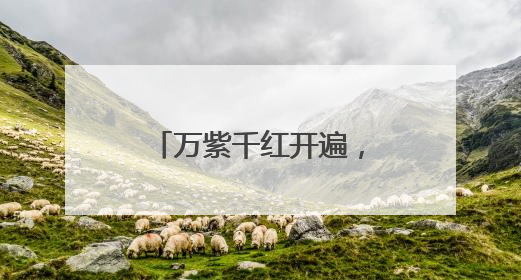 万紫千红开遍，仍留一荷清凉！厦门赏荷地图已备好，还有专家带您区分荷与莲→