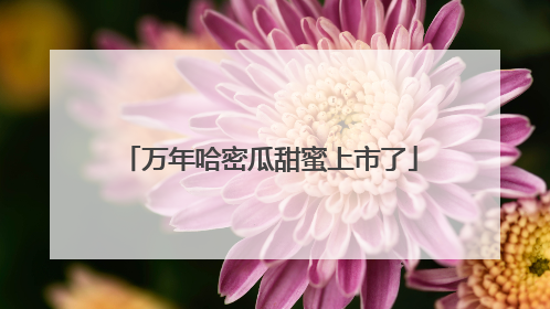 万年哈密瓜甜蜜上市了
