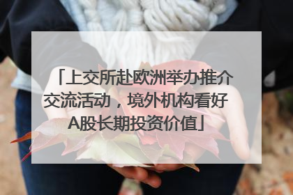 上交所赴欧洲举办推介交流活动，境外机构看好A股长期投资价值