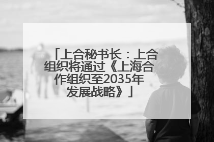 上合秘书长：上合组织将通过《上海合作组织至2035年发展战略》