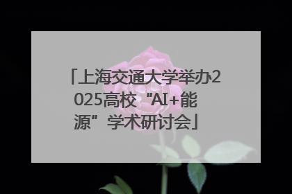 上海交通大学举办2025高校“AI+能源”学术研讨会