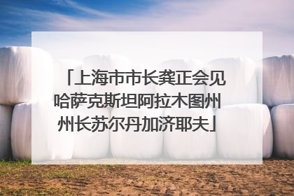 上海市市长龚正会见哈萨克斯坦阿拉木图州州长苏尔丹加济耶夫