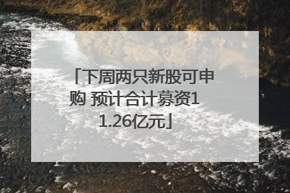 下周两只新股可申购 预计合计募资11.26亿元