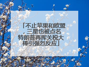 不止苹果和欧盟，三星也被点名 特朗普再挥关税大棒引强烈反应