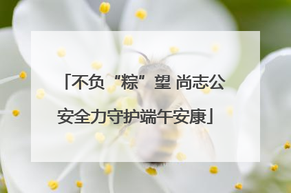 不负“粽”望 尚志公安全力守护端午安康