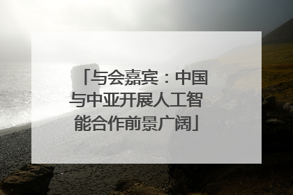 与会嘉宾：中国与中亚开展人工智能合作前景广阔