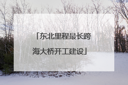 东北里程最长跨海大桥开工建设