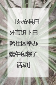 东安县白牙市镇下白鸭社区举办端午包粽子活动