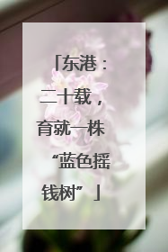 东港：二十载，育就一株“蓝色摇钱树”