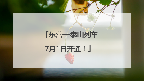 东营—泰山列车7月1日开通！