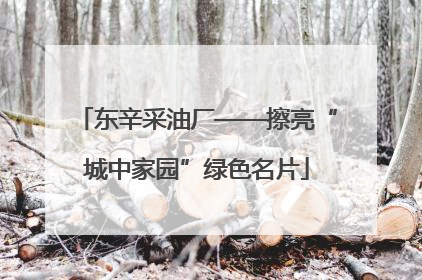东辛采油厂——擦亮“城中家园”绿色名片