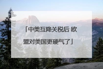 中美互降关税后 欧盟对美国更硬气了