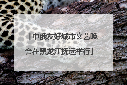 中俄友好城市文艺晚会在黑龙江抚远举行