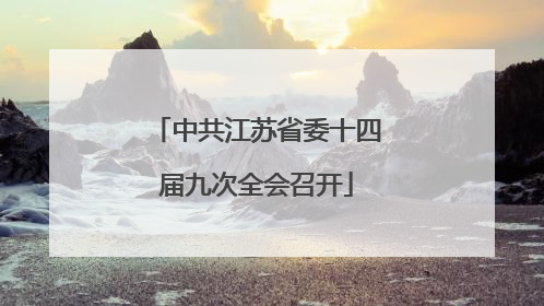 中共江苏省委十四届九次全会召开