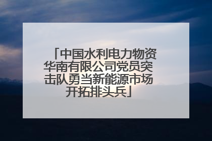 中国水利电力物资华南有限公司党员突击队勇当新能源市场开拓排头兵