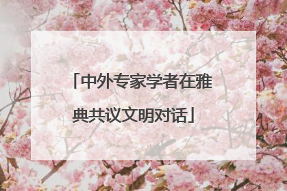 中外专家学者在雅典共议文明对话