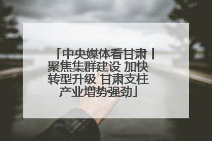中央媒体看甘肃丨聚焦集群建设 加快转型升级 甘肃支柱产业增势强劲