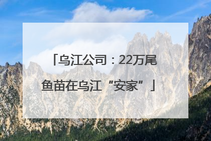 乌江公司：22万尾鱼苗在乌江“安家”