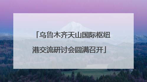乌鲁木齐天山国际枢纽港交流研讨会圆满召开