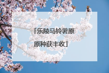 乐陵马铃薯原原种获丰收